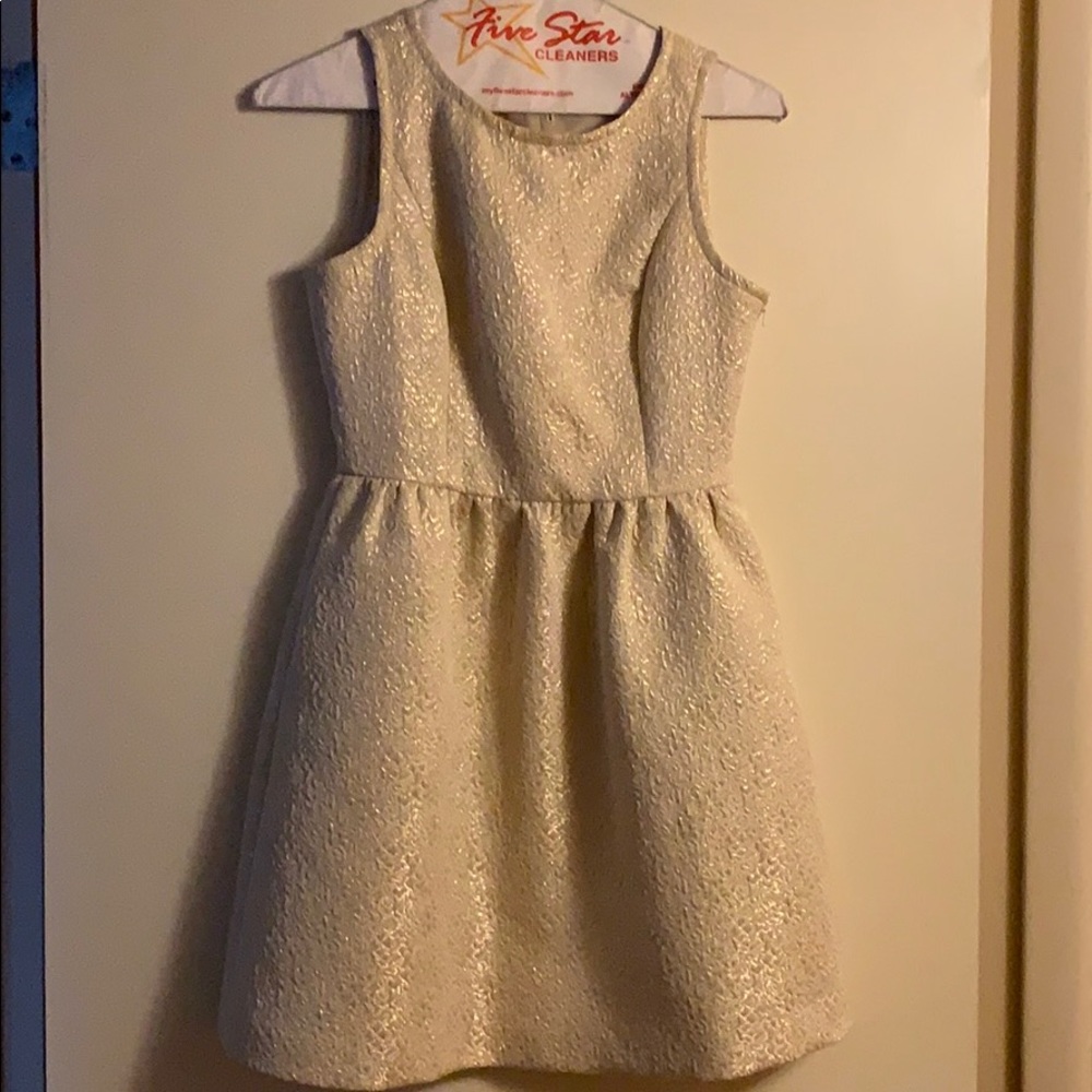 Frenchi Gold Dress